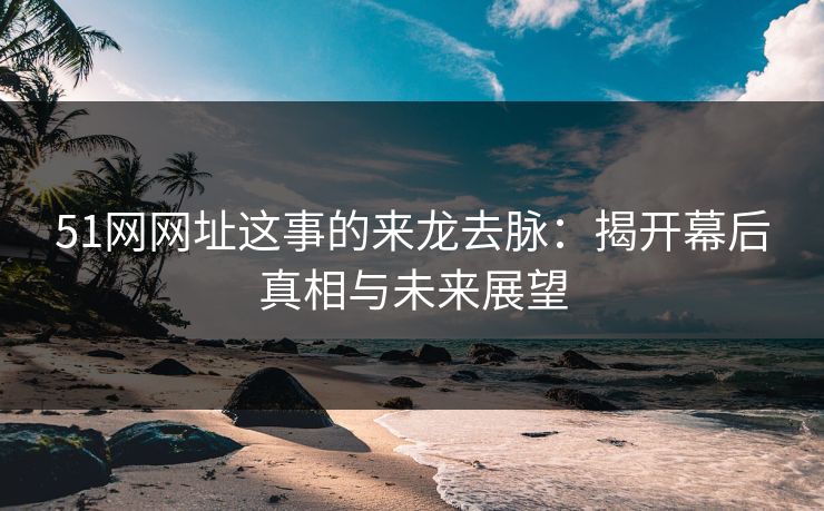 51网网址这事的来龙去脉：揭开幕后真相与未来展望