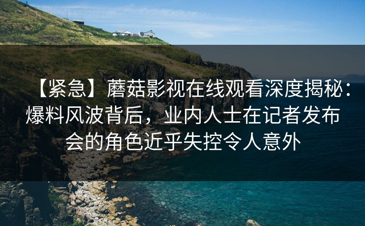 【紧急】蘑菇影视在线观看深度揭秘：爆料风波背后，业内人士在记者发布会的角色近乎失控令人意外